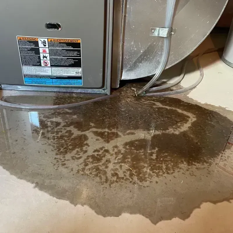 Appliance Leak Cleanup in Jefferson County, CO